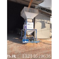 合肥L50非連續(xù)累計(jì)秤100噸/時(shí)
