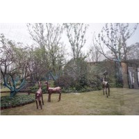 濟南庭院內景 不銹鋼彩色荷葉雕塑 仿秋荷植物雕塑定制