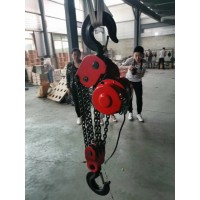 單項(xiàng)電三相電5噸15噸電動(dòng)葫蘆批發(fā)價(jià)